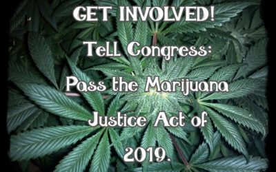 H.R. 1456: Marijuana Justice Act of 2019